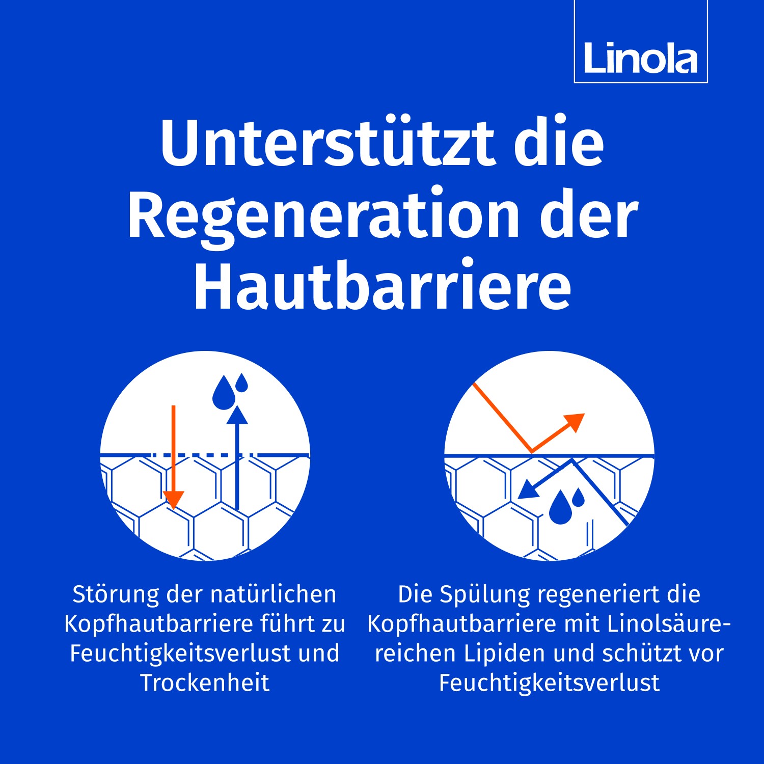 Linola Haar- und Kopfhautspülung 200 ml Haarspülung