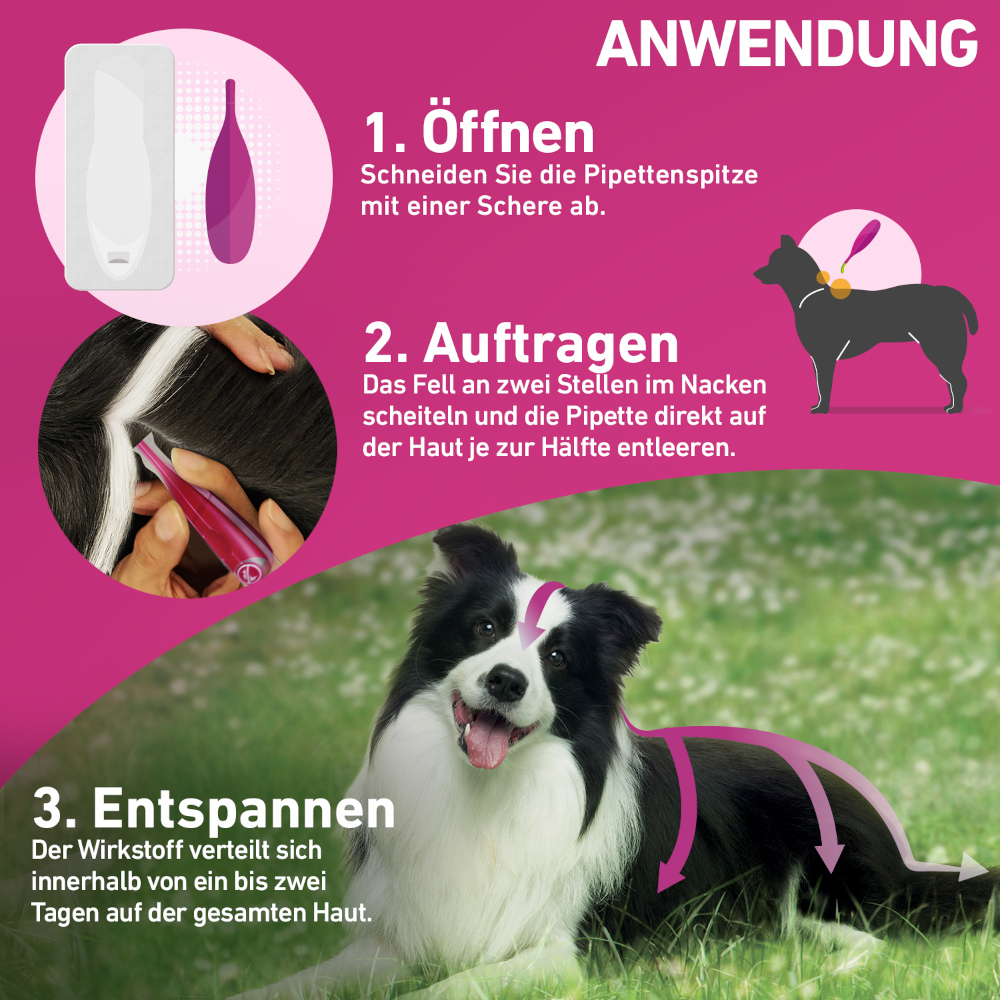 FRONTLINE TRI-ACT gegen Zecken, Flöhe und fliegende Insekten für Hunde S (5-10 kg)  3 St Lösung