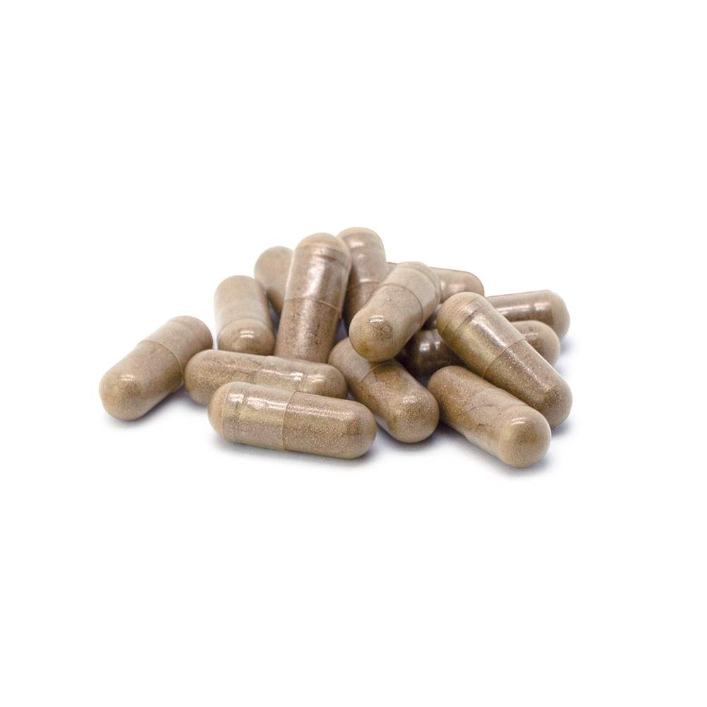 Dr. Jacob's nervenstark mit Rhodiola Ashwaganda Reishi-Pilz