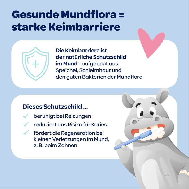 Dentinox Zahncreme Mundflora+ Baby 30 ml Zahncreme