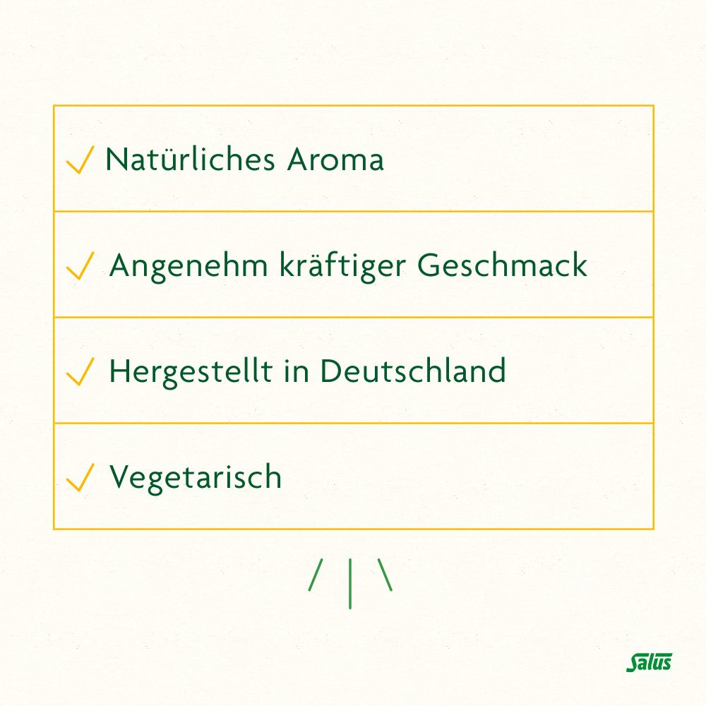 Salus Fenchelhonig 250 ml Sirup