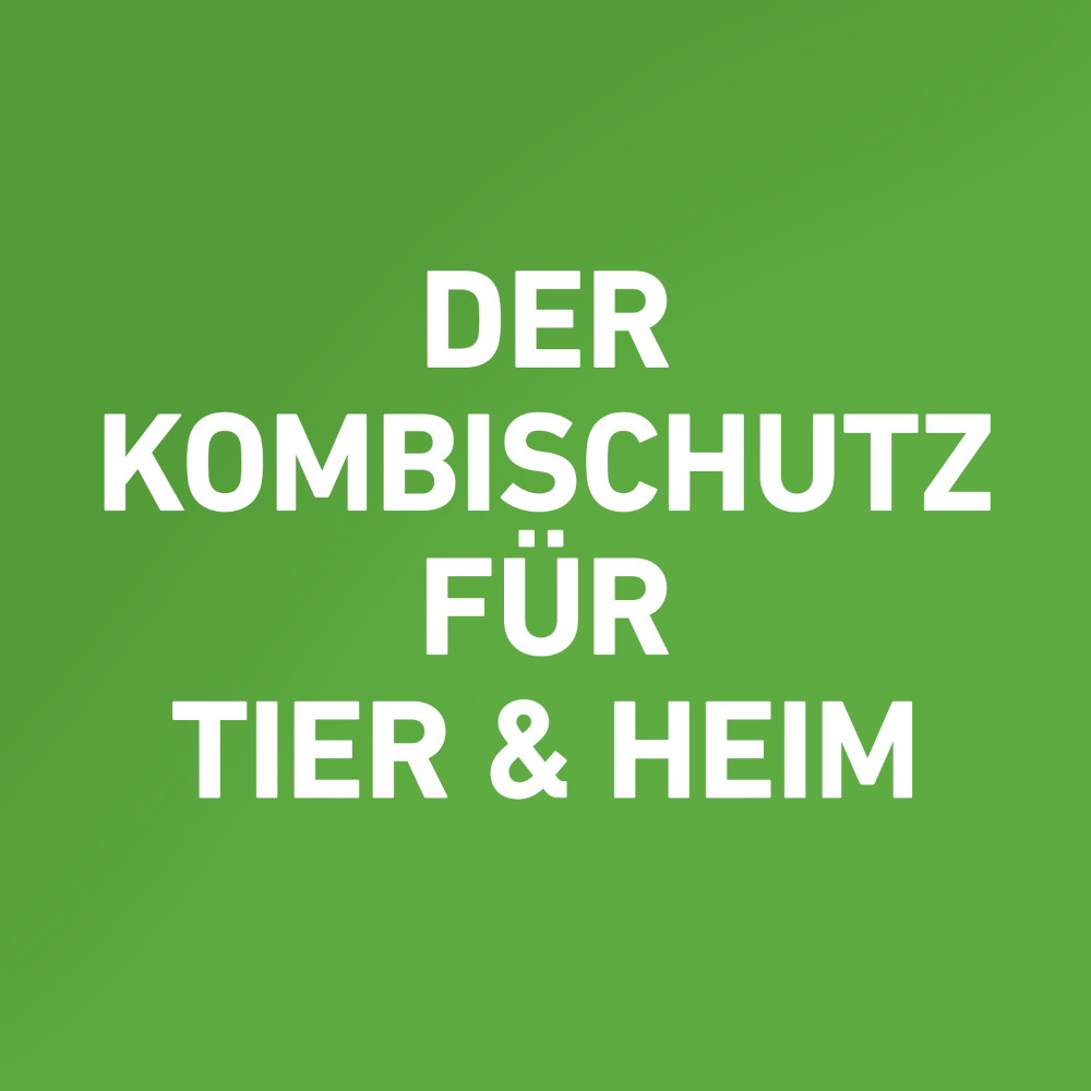 FRONTLINE COMBO 3 Stk. der Kombischutz für Tier und Heim gegen Zecken, Flöhe und Haarlinge bei Katzen und Frettchen 3 St Lösung