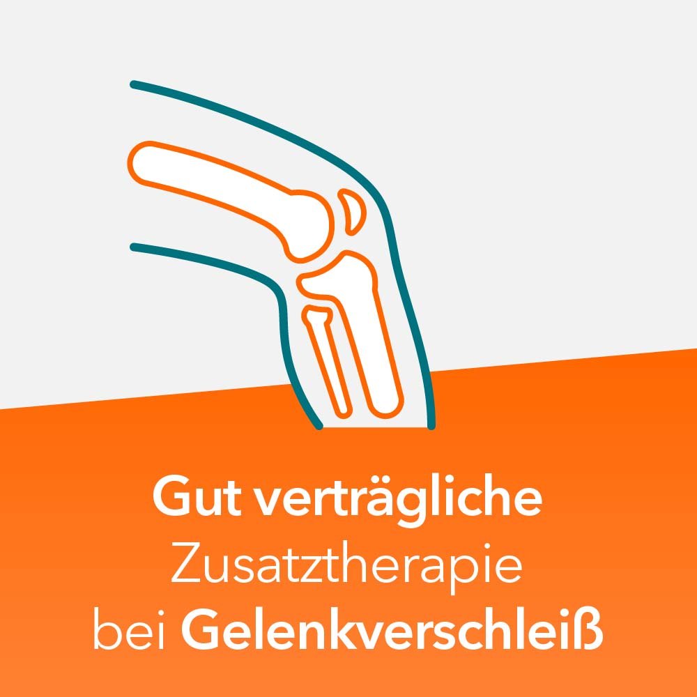 Teufelskralle-ratiopharm 480 mg 50 St Filmtabletten