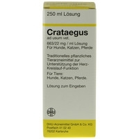 Crataegus ad usum vet. 50 ml Lösung 250 ml Dilution