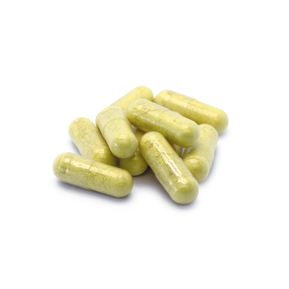 Dr. Jacob's Quercetin-Phospholipid Papain Bromelain Zink