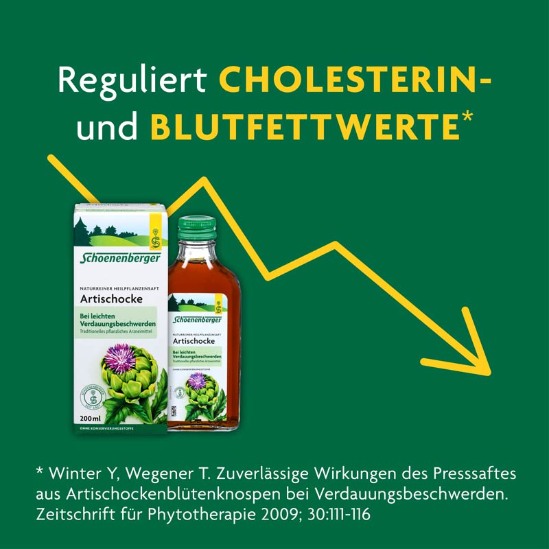 Schoenenberger Naturreiner Heilpflanzensaft Artischocke 200 ml Saft