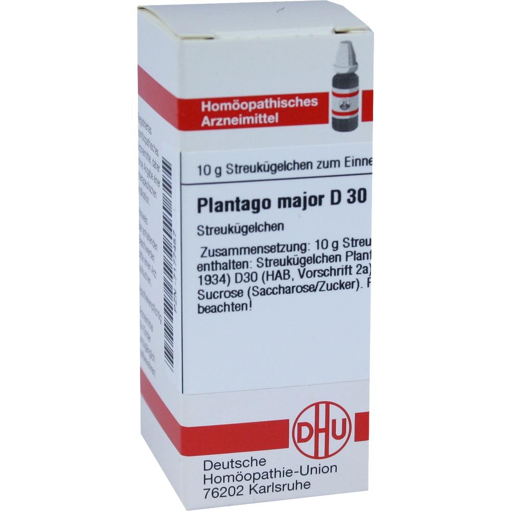 PLANTAGO MAJOR D 30 Globuli 10 g Globuli