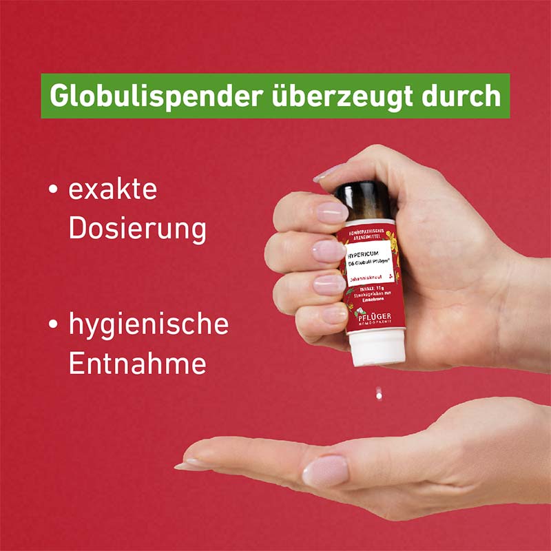Hypericum D12 Globuli Pflüger 10 g Globuli