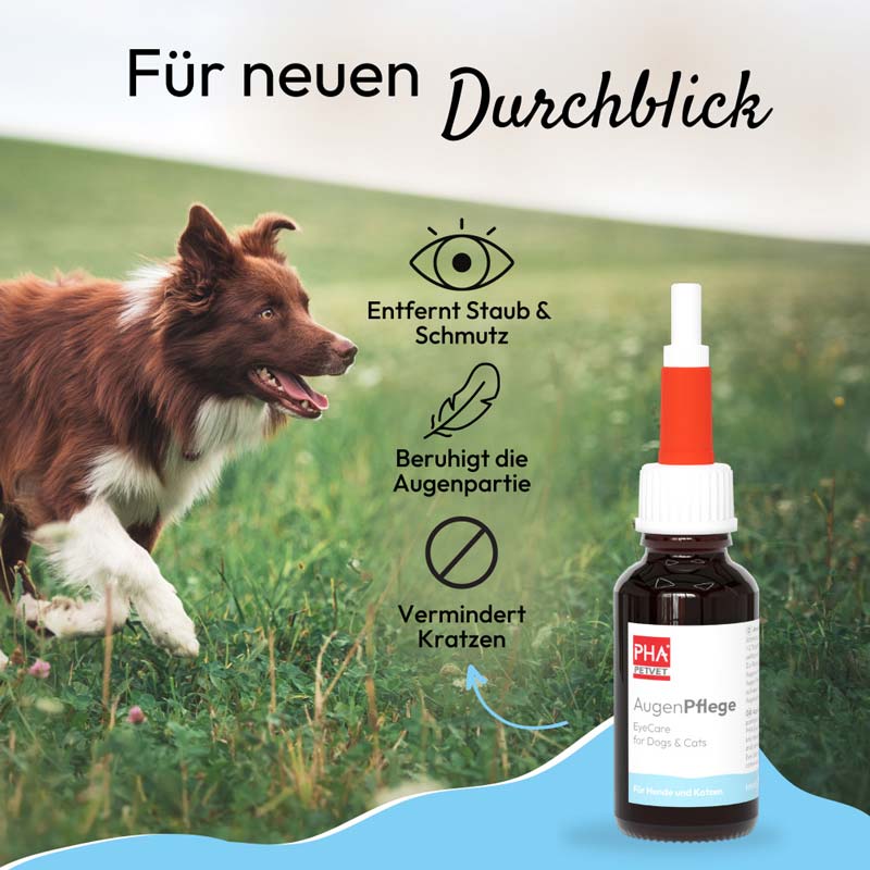 PHA AugenPflege Tropfen für Hunde und Katzen 20 ml Tropfen