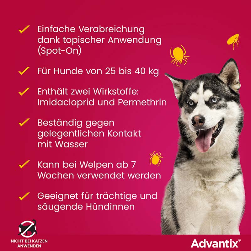 ADVANTIX SPOT-ON HUND 25-40KG 4X4.0 ml Lösung
