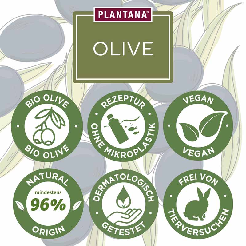 PLANTANA KÖRPERCREME OLIVE 500 ml Creme