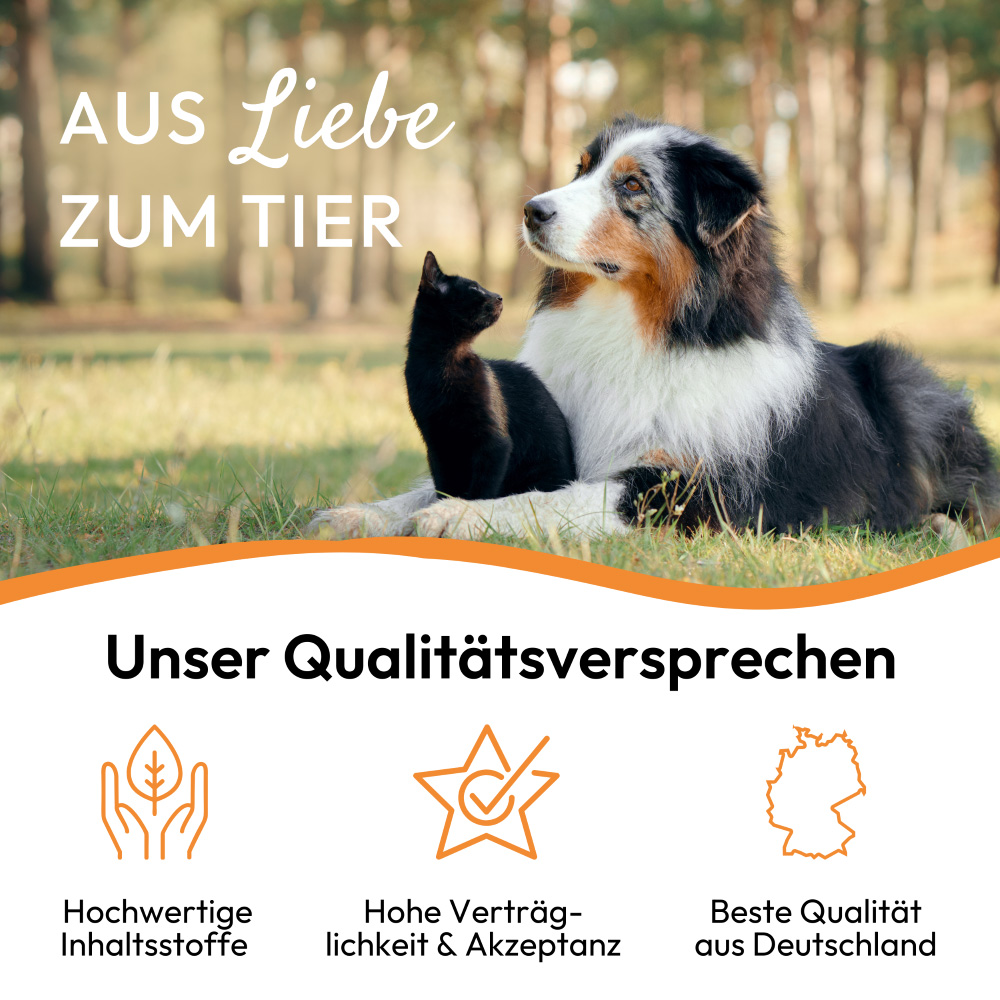 PHA Wurm für Hunde und Katzen 50 ml Tropfen