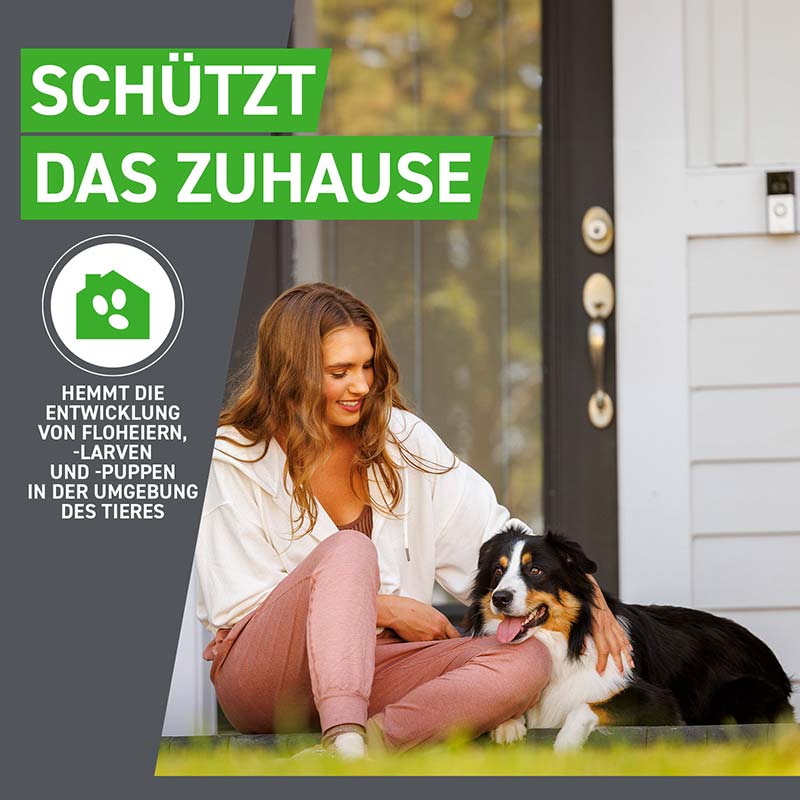 FRONTLINE COMBO gegen Zecken, Flöhe (Flöhe, Eier, Larven, Puppen) für Hunde L (20-40 Kg) 3 St Lösung