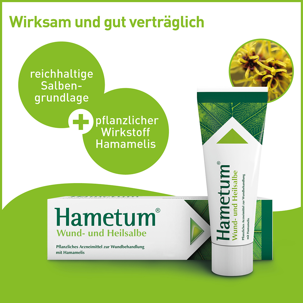 Hametum Wund- und Heilsalbe 25 g Salbe