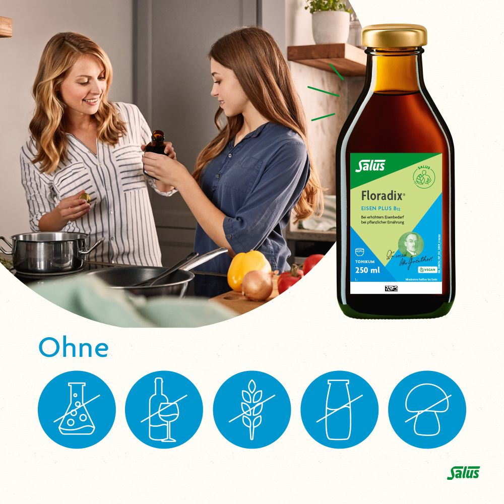 Floradix Eisen Plus B12 Tonikum 250 ml Tonikum