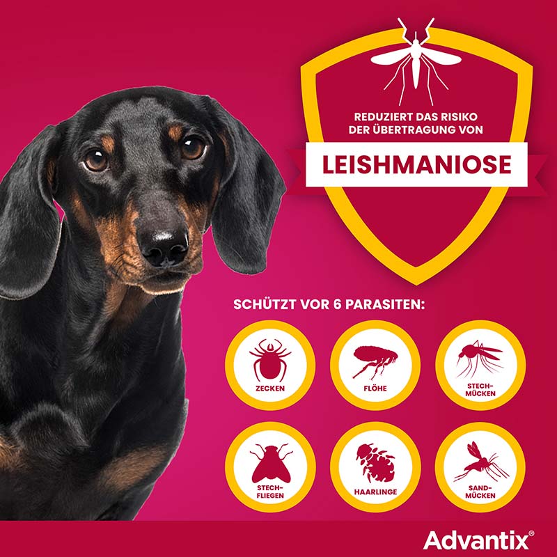ADVANTIX SPOT-ON HUND BIS 4KG 4 St Lösung