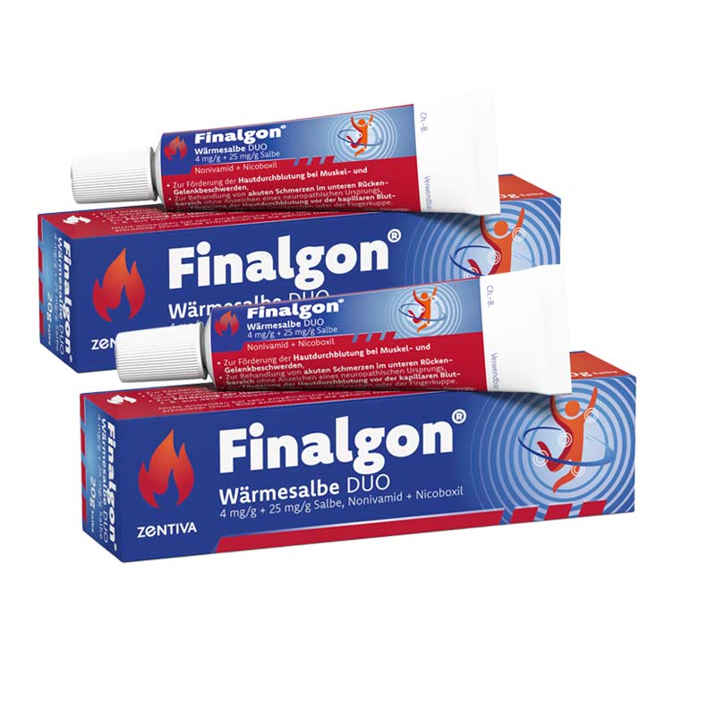 Finalgon Wärmesalbe DUO Doppelpack 2X20 g Salbe