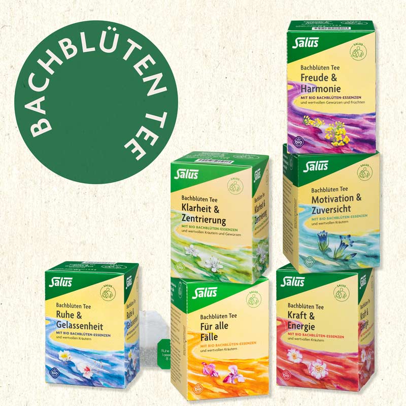 Salus Bachblüten Tee Freude & Harmonie 15 St Filterbeutel