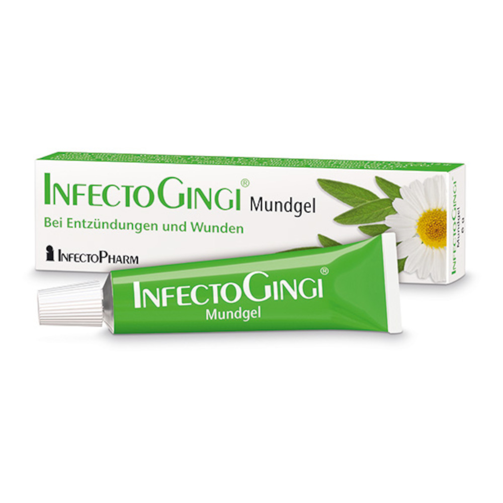 INFECTOGINGI Mundgel 6 g Gel