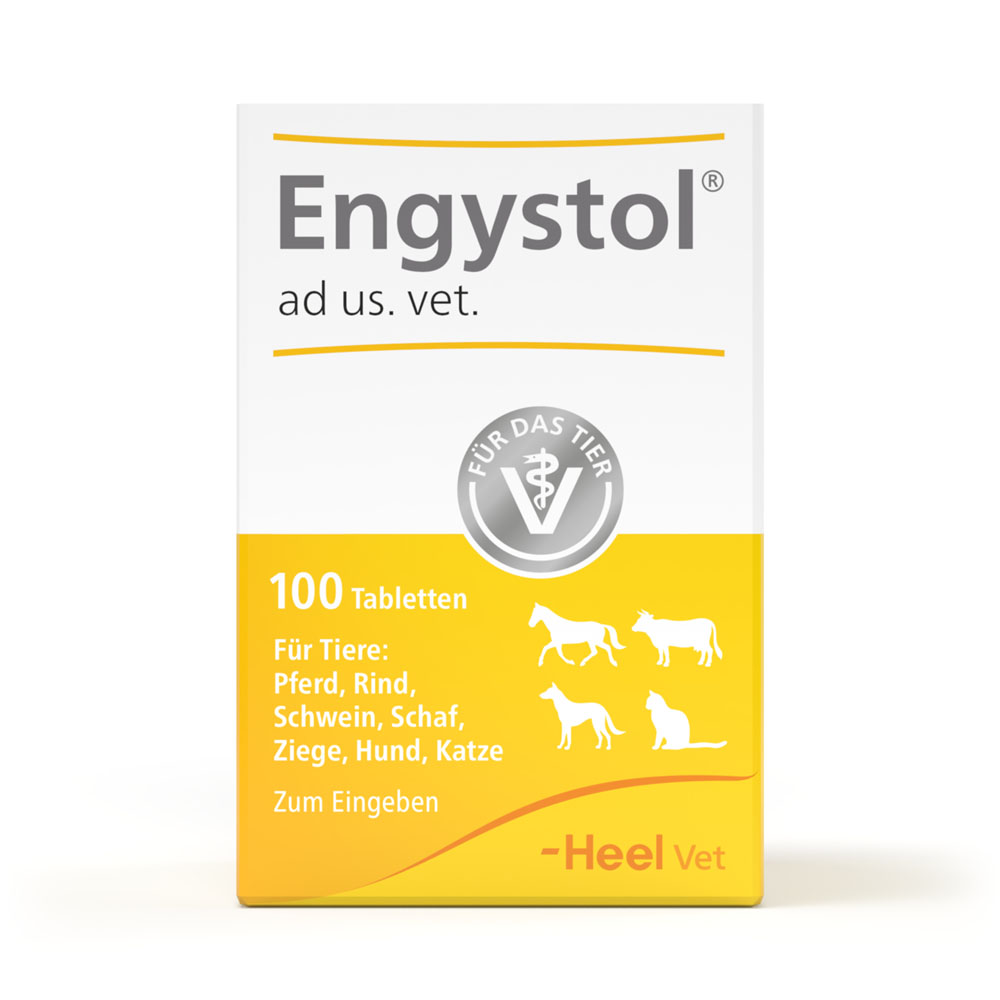 Engystol ad us. vet.  100 St Tabletten