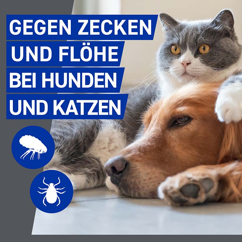 FRONTLINE - gegen Zecken und Flöhe für Hunde und Katzen 250 ml Spray