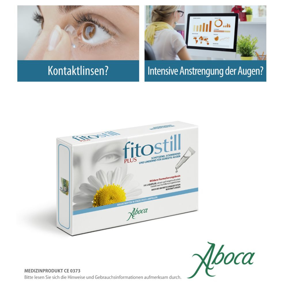 fitostill PLUS bei geröteten und überanstrengten Augen 10X0.5 ml Augentropfen