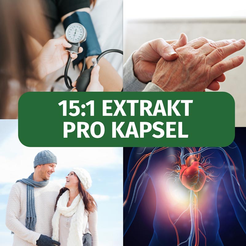 GREEN NATURALS Schwarzer Knoblauch 750 mg 180 St Kapseln