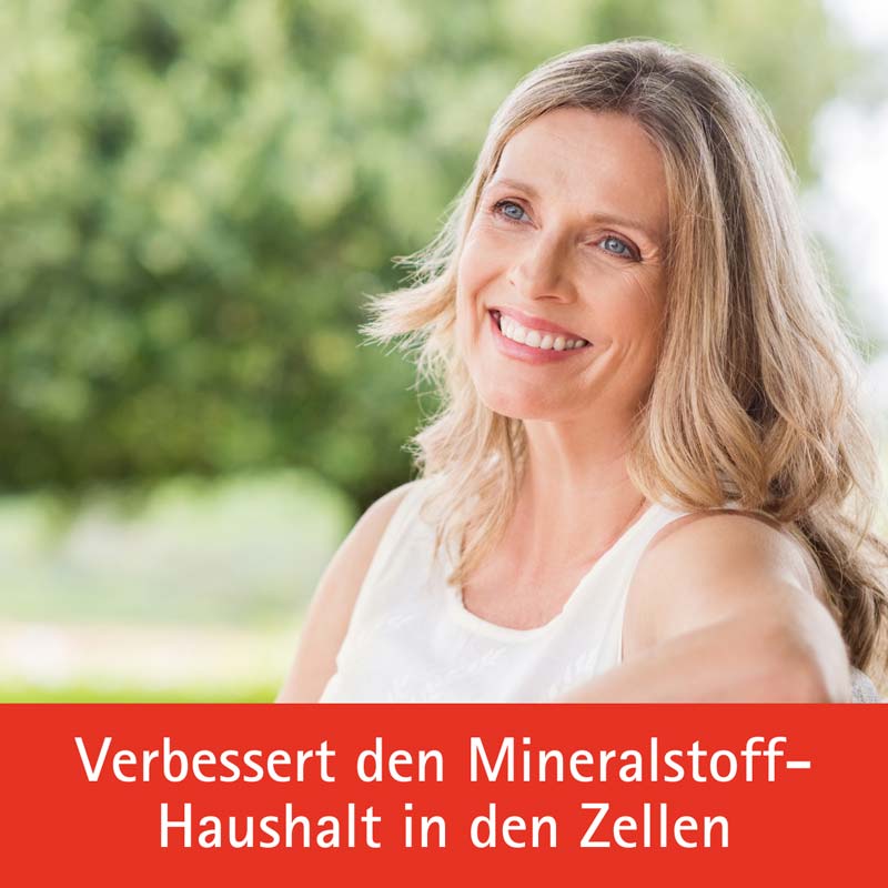 Schüßler-Salz Nr. 10 Natrium sulfuricum D6 400 St Tabletten