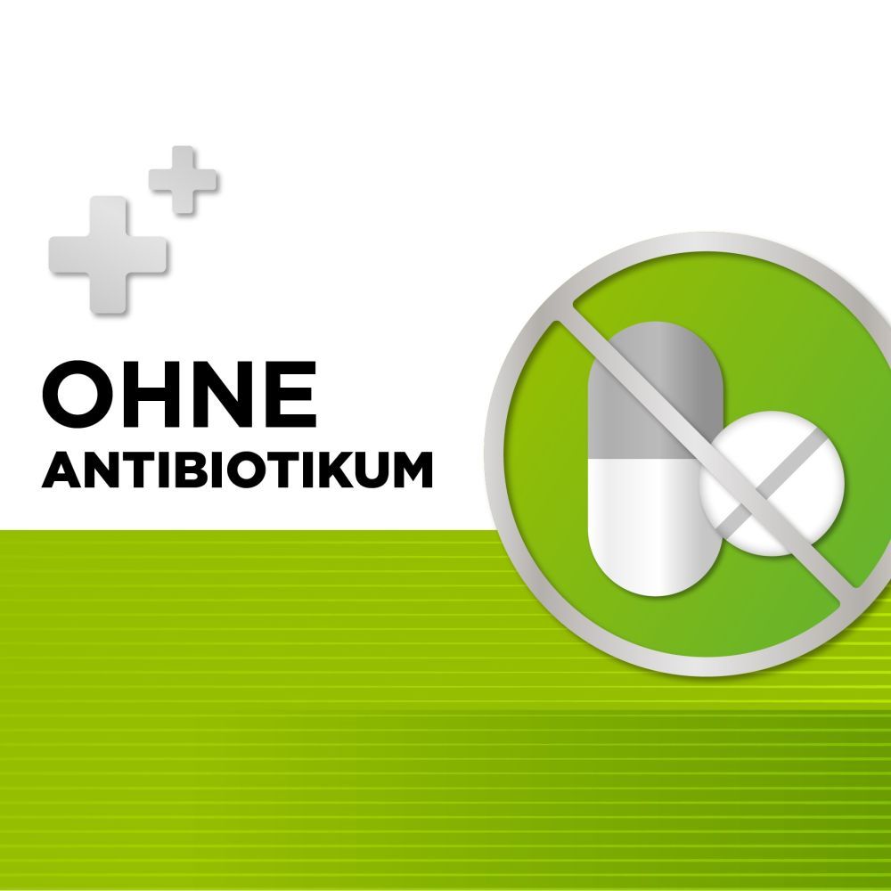 Dolo-Dobendan - betäubt den Halsschmerz 48 St Lutschtabletten