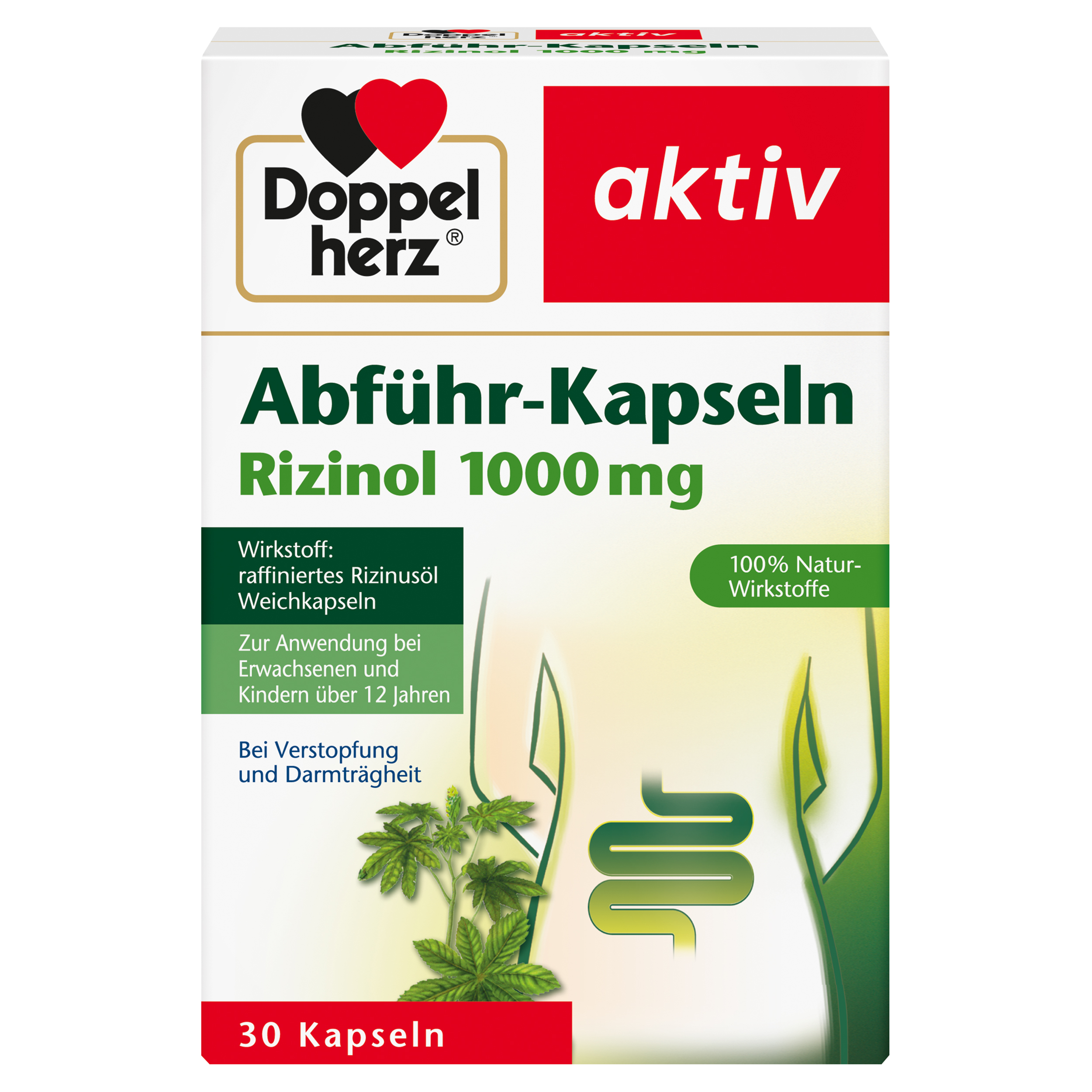 Doppelherz aktiv Abführ-Kapseln Rizinol 1000mg 30 St Kapseln