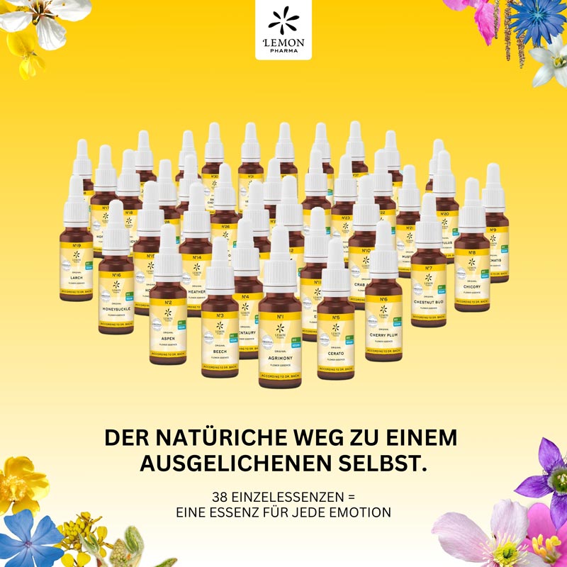 Bachblüten No.16 Honeysuckle Bio  20 ml