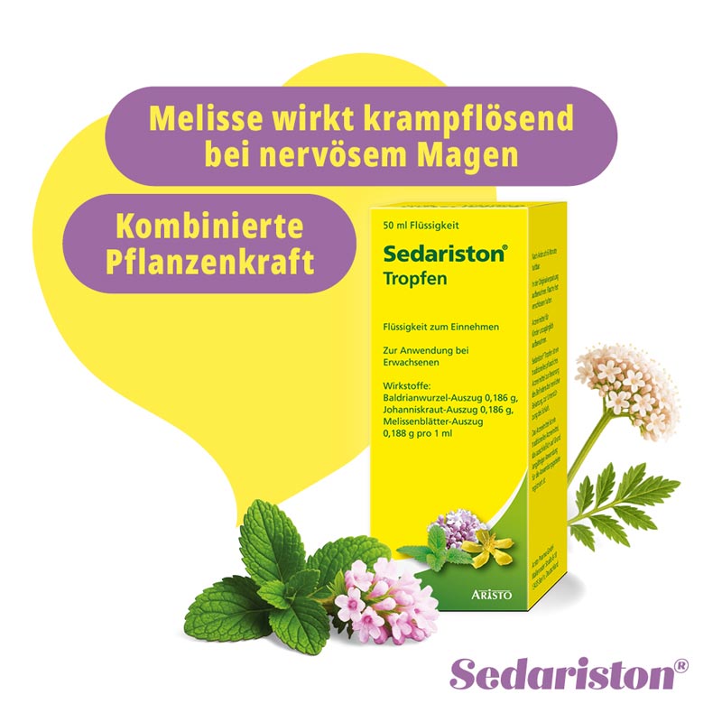 Sedariston Tropfen 50 ml Flüssigkeit zum Einnehmen