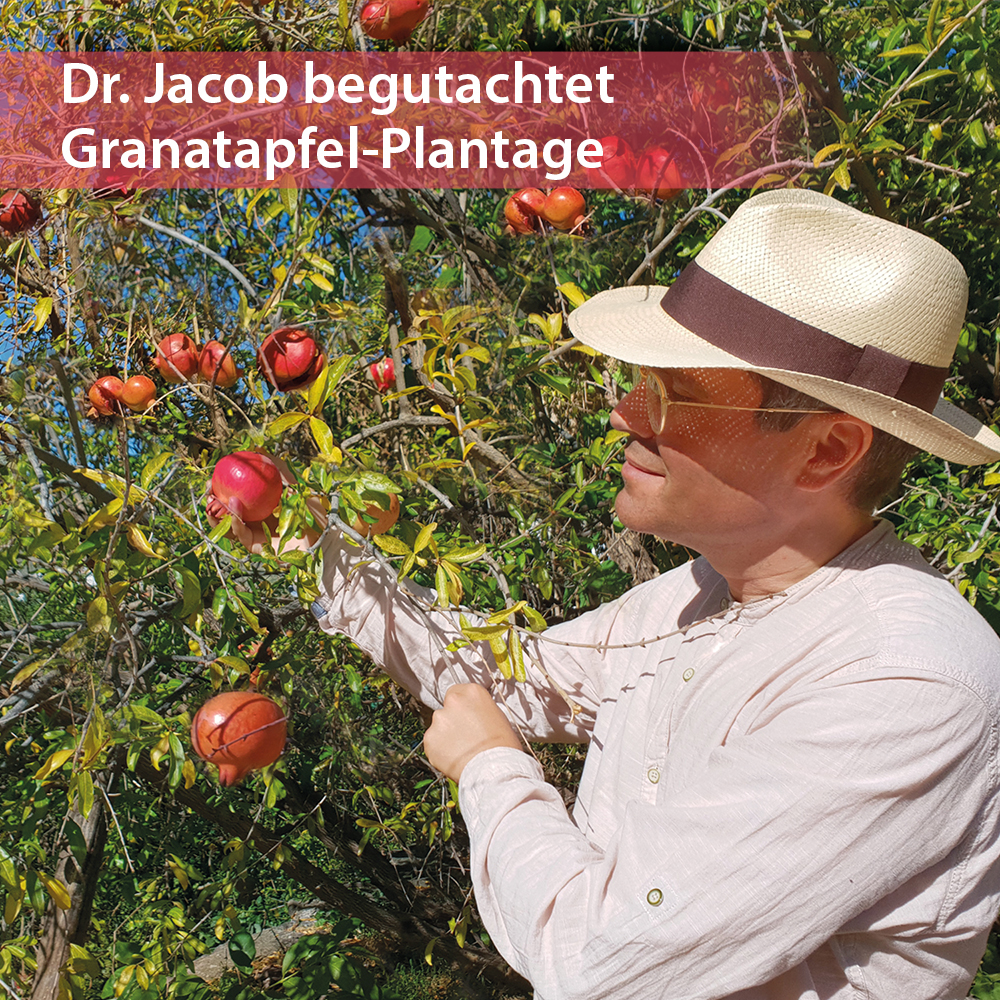Dr. Jacob's Granatapfel-Elixier Original hochkonzentriert