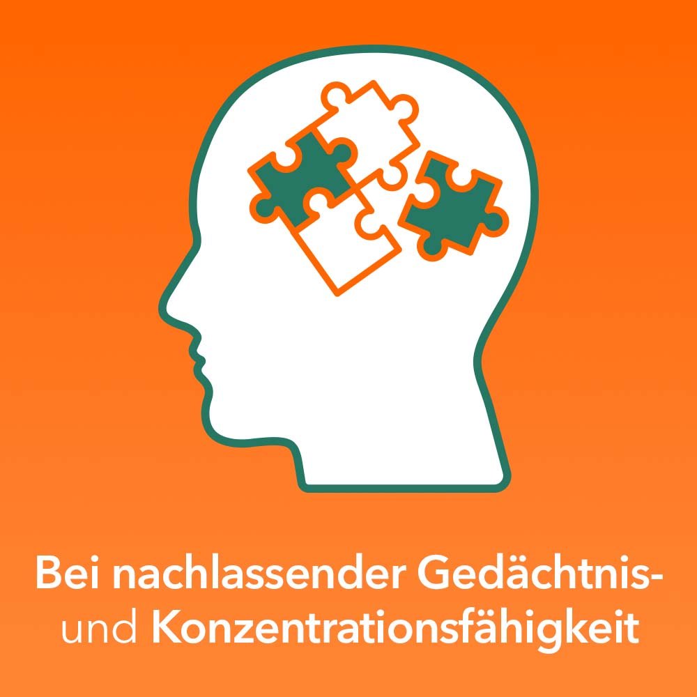 Ginkobil ratiopharm 120 mg Doppelpack  2X120 St Filmtabletten