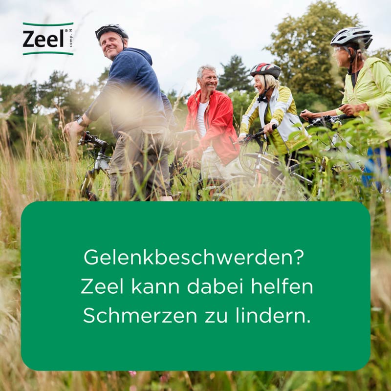 Zeel comp. N  100 St Tabletten