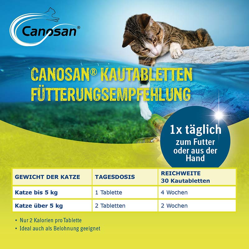 Canosan - Zur Unterstützung der Gelenke & des Bindegewebes für Katzen mit Grünlippmuschel-Extrakt Gonex 30 St Kautabletten