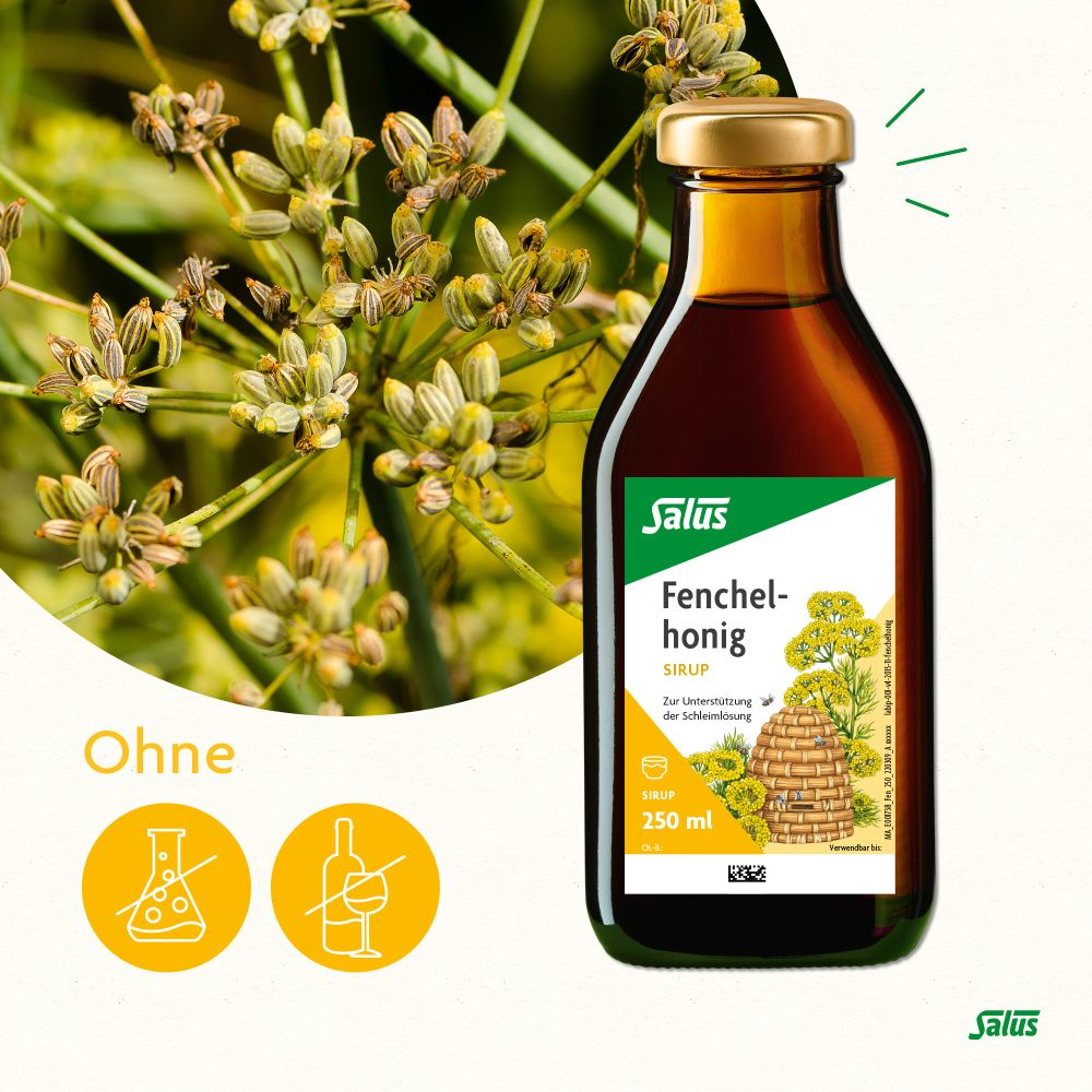 Salus Fenchelhonig 250 ml Sirup