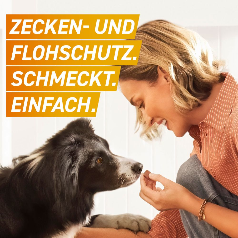 FRONTPRO Kautabletten Hunde >10 - 25 kg Doppelpack 2X3 St Kautabletten