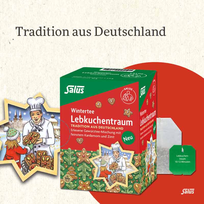Salus Wintertee Lebkuchentraum 15 St Filterbeutel