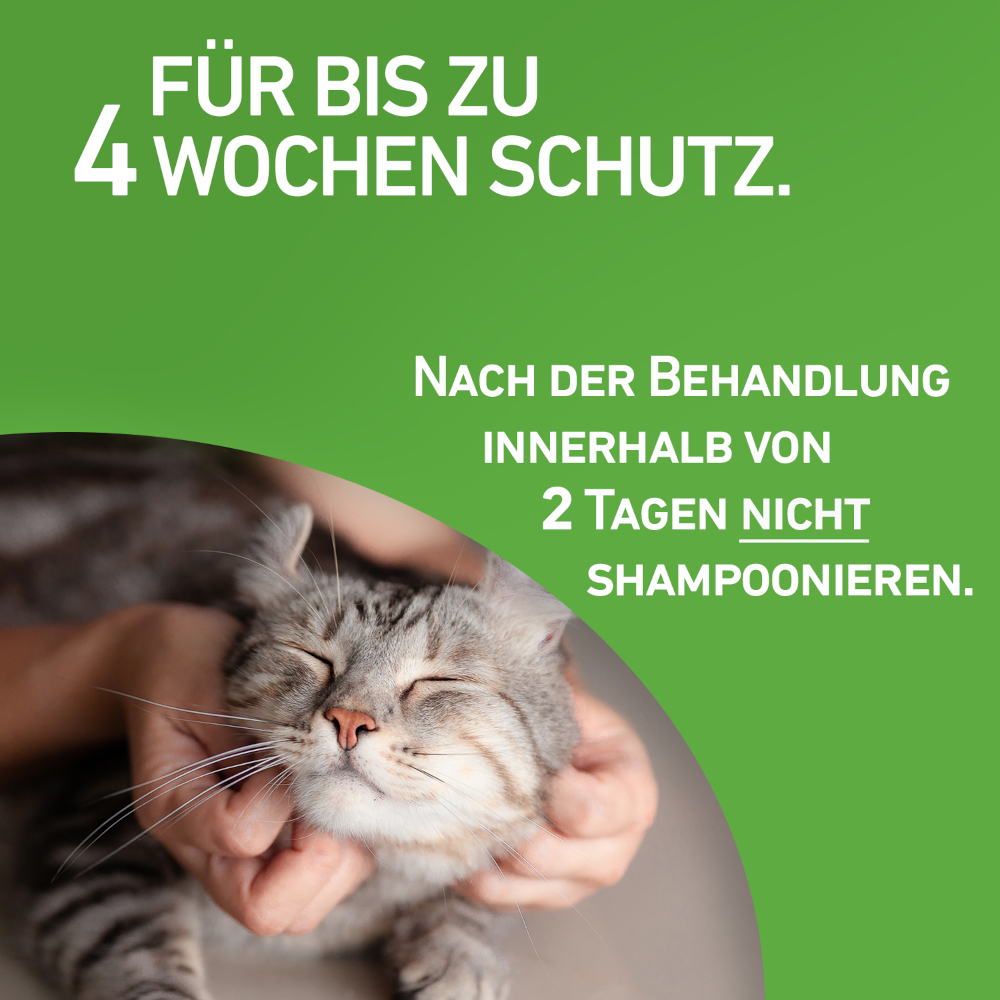 FRONTLINE COMBO 3 Stk. der Kombischutz für Tier und Heim gegen Zecken, Flöhe und Haarlinge bei Katzen und Frettchen 3 St Lösung