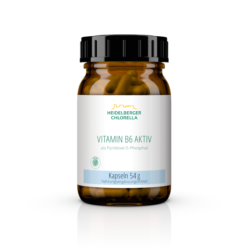 VITAMIN B6 Kapseln 120 St Kapseln