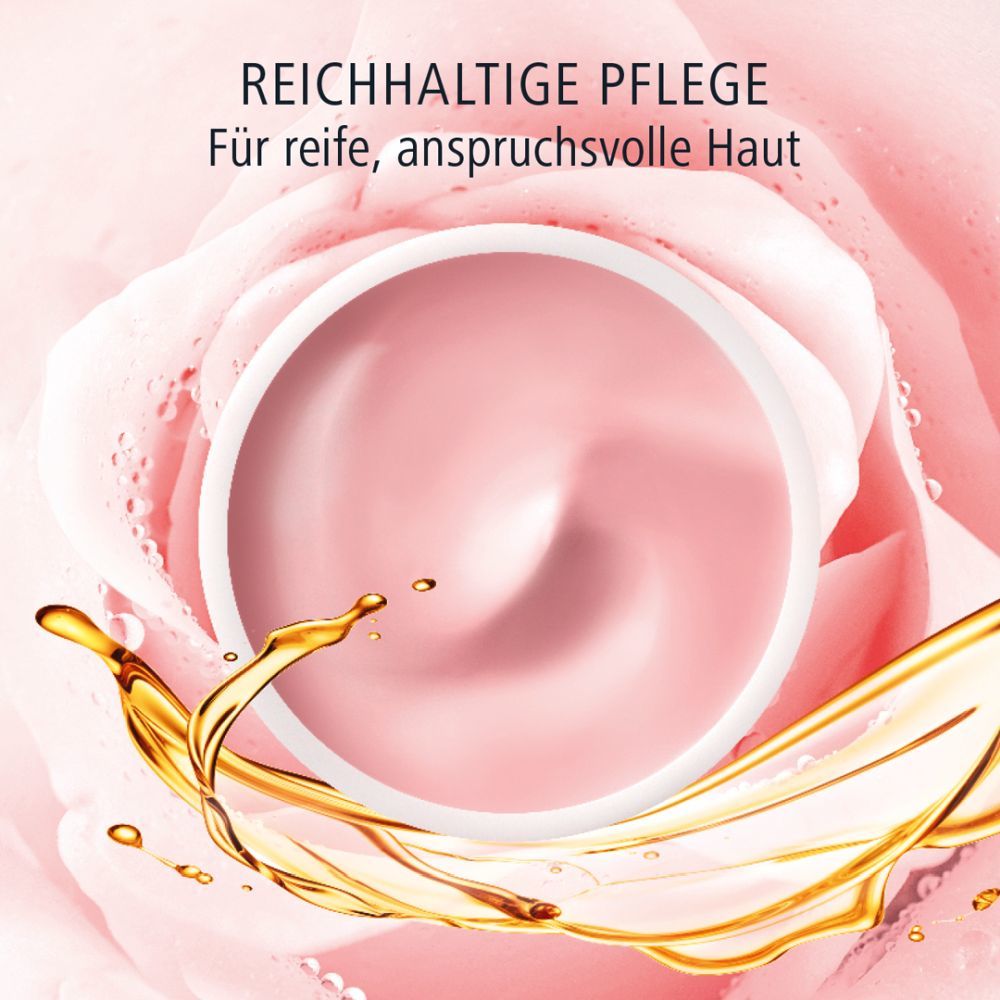 Olivenöl Intensivcreme Rosé Tagescreme 2X50 ml Tagescreme