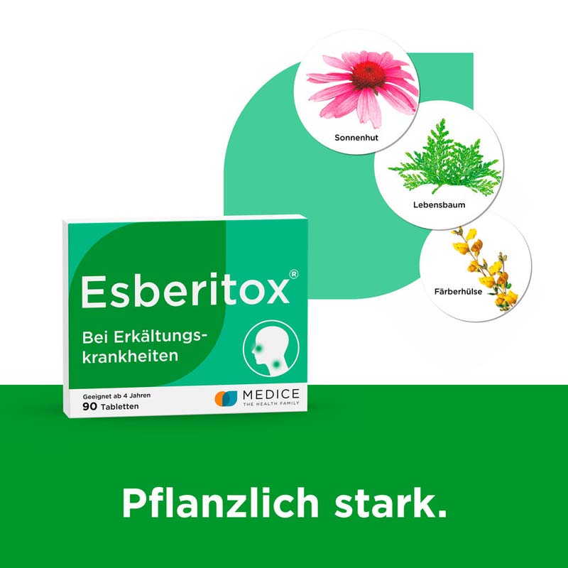 Esberitox Tabletten bei Erkältungskrankheiten  90 St Tabletten