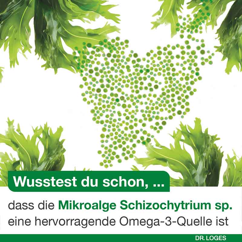 omega3-Loges pflanzlich 60 St Kapseln