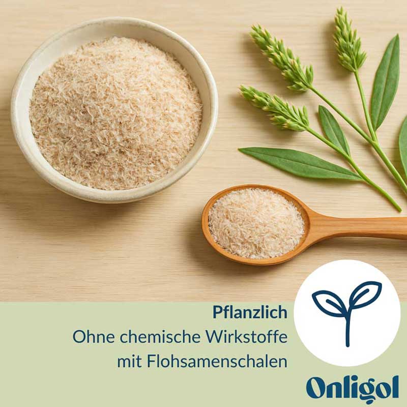 Onligol Fiber mit Flohsamenschalen 20X4.7 g Pulver