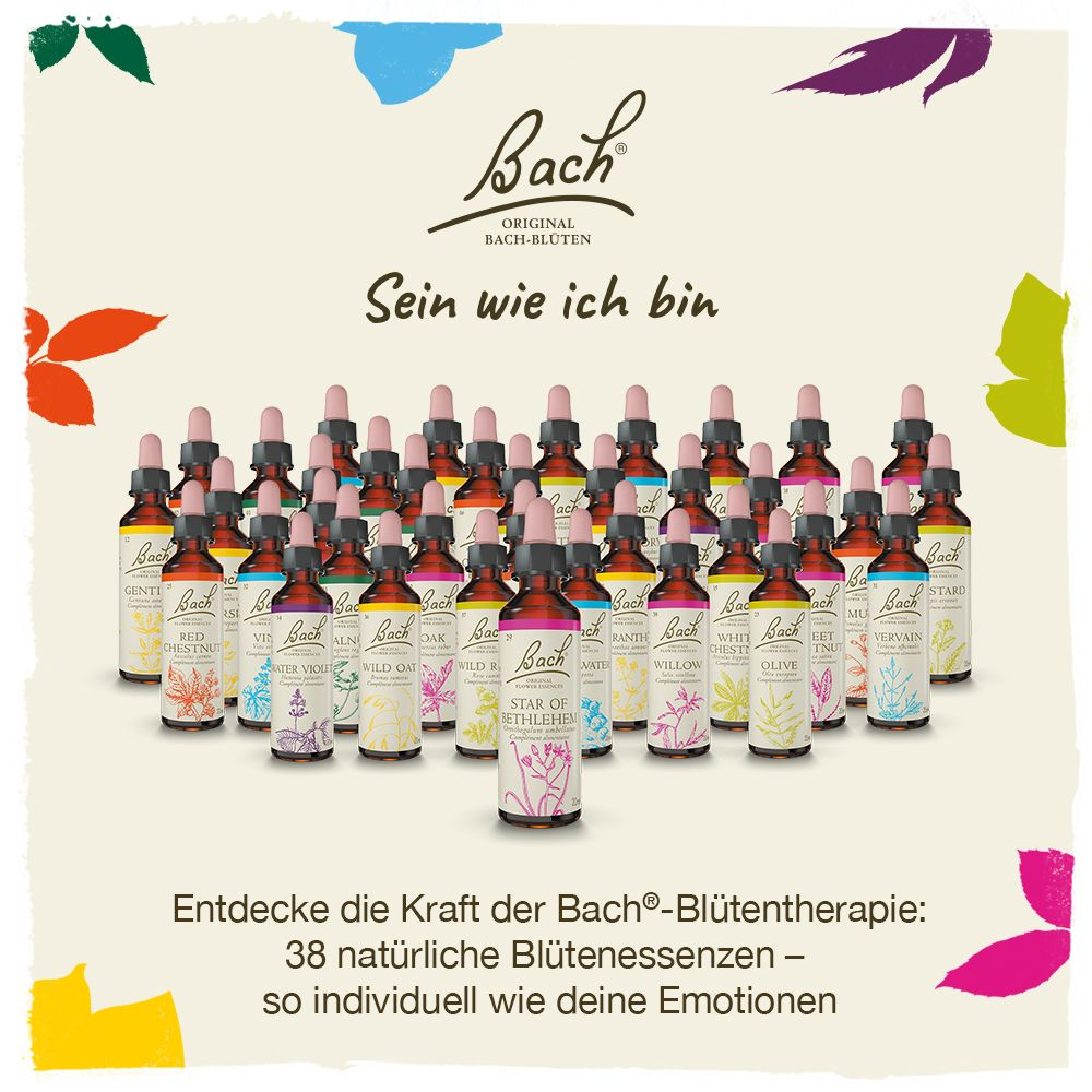 BACHBLÜTEN Original Star of Bethlehem Nr. 29 20 ml Tropfen
