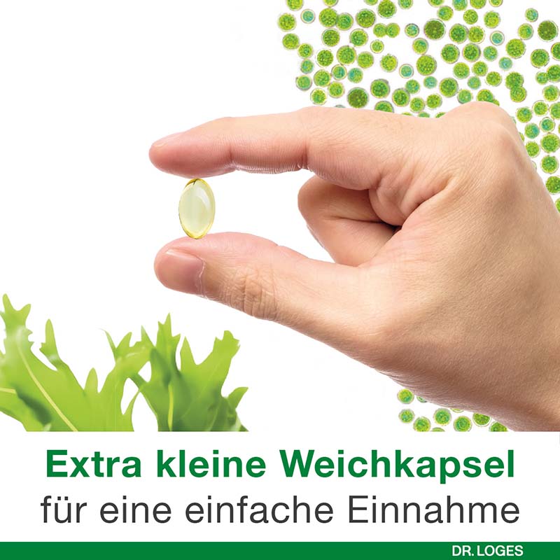 omega3-Loges pflanzlich 120 St Kapseln