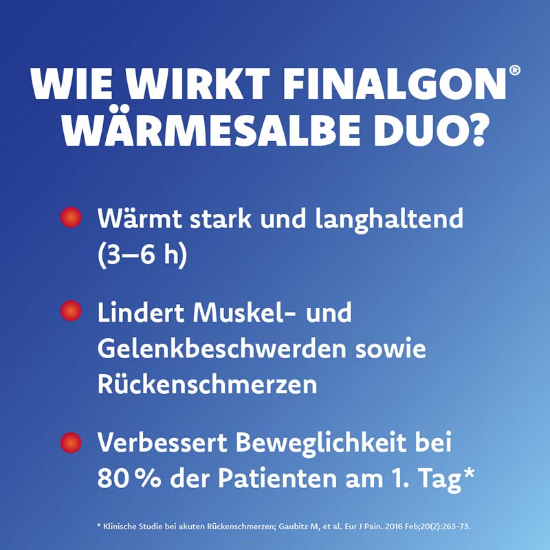 Finalgon Wärmesalbe DUO 20 g Salbe