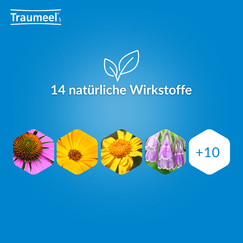Traumeel S Gel 100 g Gel