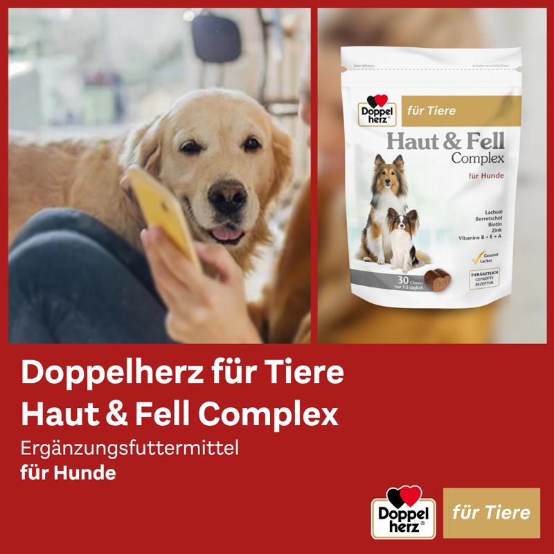 Doppelherz Haut & Fell Complex für Hunde 30 St Kautabletten